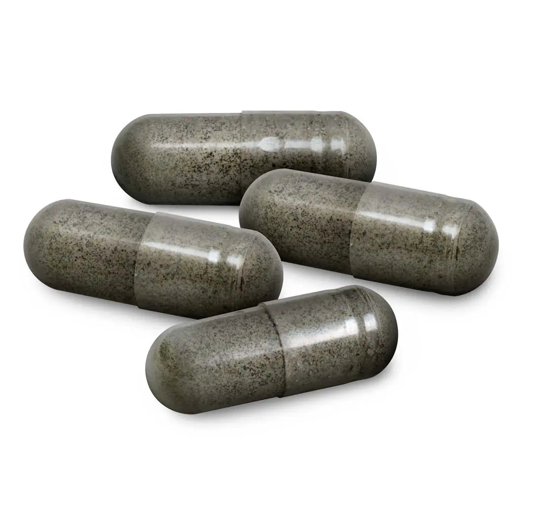North American Herb& Spice, Raw Black Seed Plus