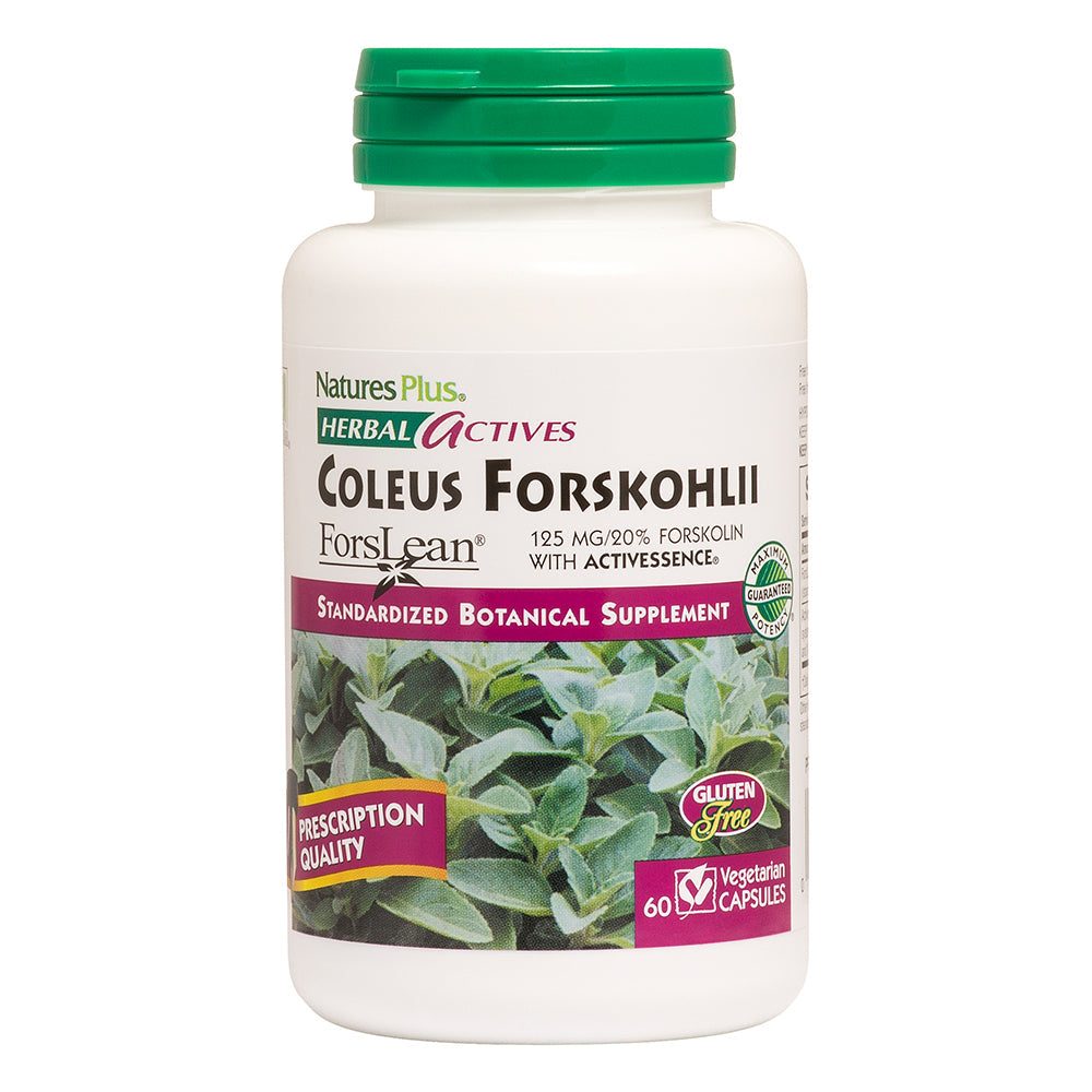 NaturesPlus, Coleus Forskohlii